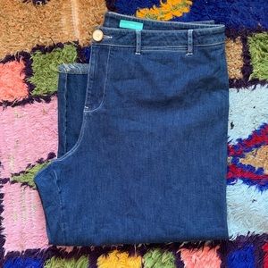 Anthropologie Pilcro High Waist Wide Leg Cropped Jean with Frayed Hem NWOT